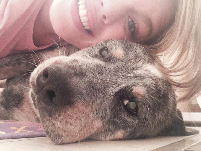 katrinanielsen_'s tweet photo. It’s only been 24 hours but I miss my boy so much 🥺😭😢 https://t.co/OnFg85N5X5