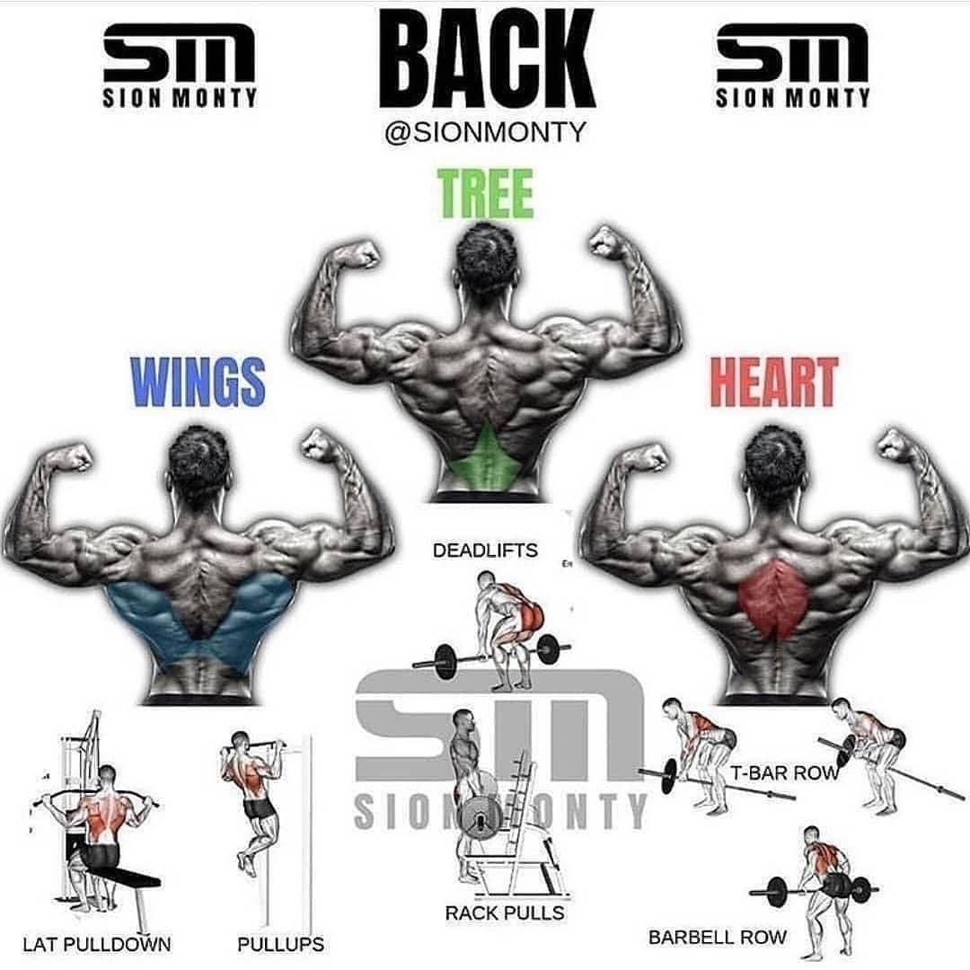COMPLETE BACK WORKOUT

👉 Follow #imaancraze 
From: @sionmonty
#gymtips #musclebuilding #diet #fatloss #healthysnack #lifestylechange #flexibledieting #nutrition #musclefood #nutritiontips #yoga #fitness #mobilitywod #flexibility #physicaltherapy #yogi #bodybuilding #deadlift