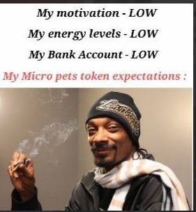 MicroPets 🐶 tweet media