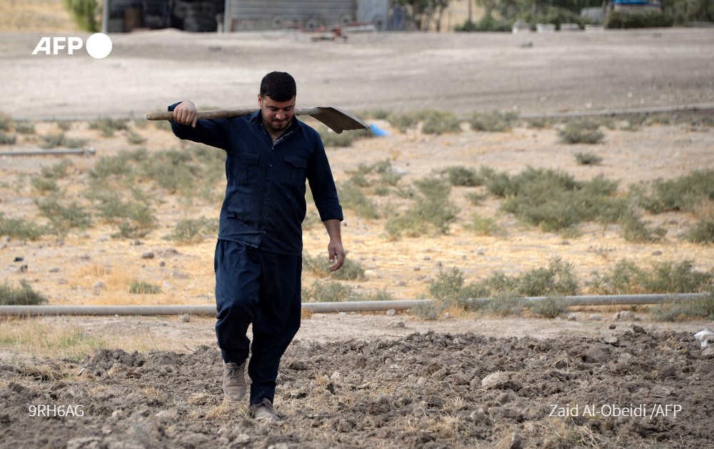 AFP's tweet photo. Iraqi farmer Khamis Ahmad Abbas lost it all when his battle with drought forced him to abandon his land

Experts warn record low rainfall, compounded by climate change, are threatening social and economic disaster in Iraq https://t.co/bRj6EDngJ3 https://t.co/R1MmM6aNRo
