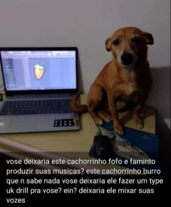 memes extremamente horríveis (ou bons) (@memes_horriveis) on Twitter photo 