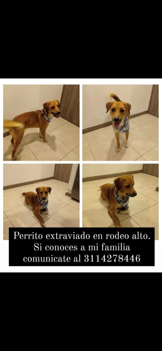 vivimar41's tweet photo. @RodeoAlto https://t.co/ESc6j7yChF