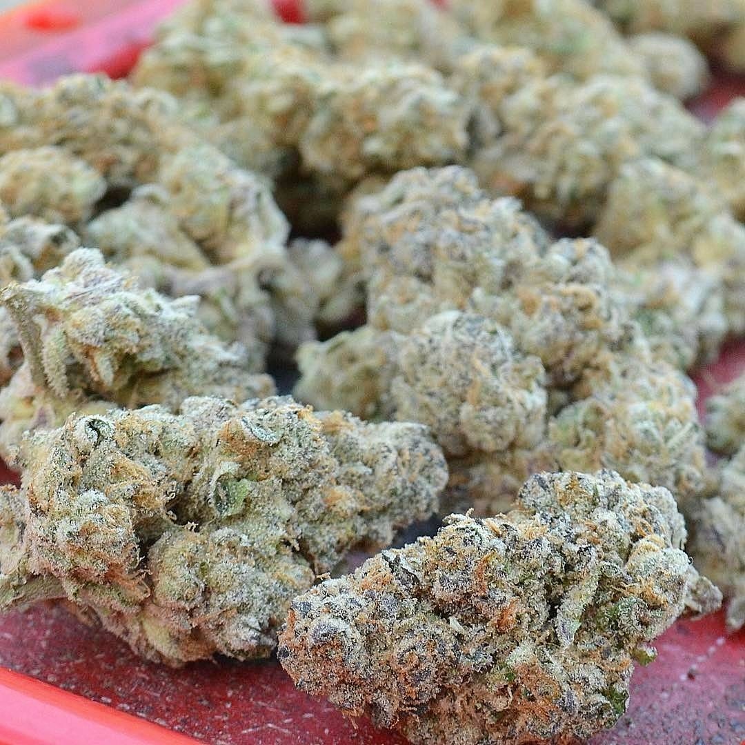 CannabisTrainU's tweet photo. #legalize #legalization #cannabislaws #weedlaws #legalizeweed #mmjlaws #marijuanalaws #potlaws #lawyers #weedlawyer #ctu #ganjalaws #cannabiscollege #weedlegalization @cannabistu https://t.co/uC9jsqK5Gi