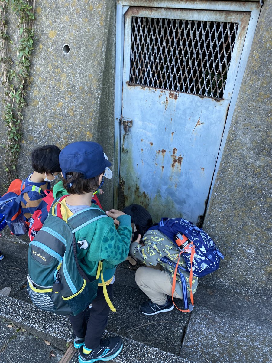 estheryoyo's tweet photo. Walking back from the shops and the group suddenly stops. Recognizing that there was some important thinking developing we gave them #time and #space to share as a narrative about this ‘secret door’ emerged. Then they ran back to ELC to tell their friends #yislearning #eypyp https://t.co/MOjqjuMI9C