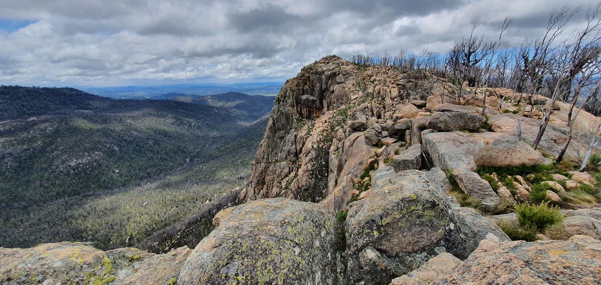 UTLAU's tweet photo. @IndigenousX Ngunnawal Country :)
... then I drove for just over an hour and went bushwalking ... still on Ngunnawal Country (I think).
About half to ¾ of an hour after I took this photo - it got very windy and a bit wet, and then for a few minutes it was even snowing! https://t.co/dTJUwtpVSR