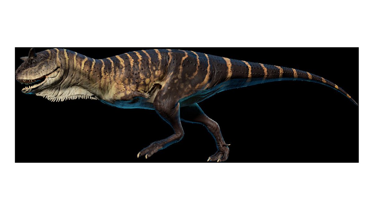 idealbraintonic's tweet photo. carnotaurus naruto run https://t.co/Rxr2do3bs9