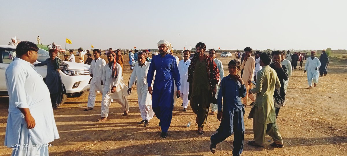 UmedAliBagrani's tweet photo. پي پي پي ايم پي اي ماتلي سردار ڏاڏا حاجي محمد ھاليپوٽو صاحب دوستن سان گڏ۔❤🌹🙏
@DadaHalepoto @SHalepota https://t.co/t5Z2PUbWxf