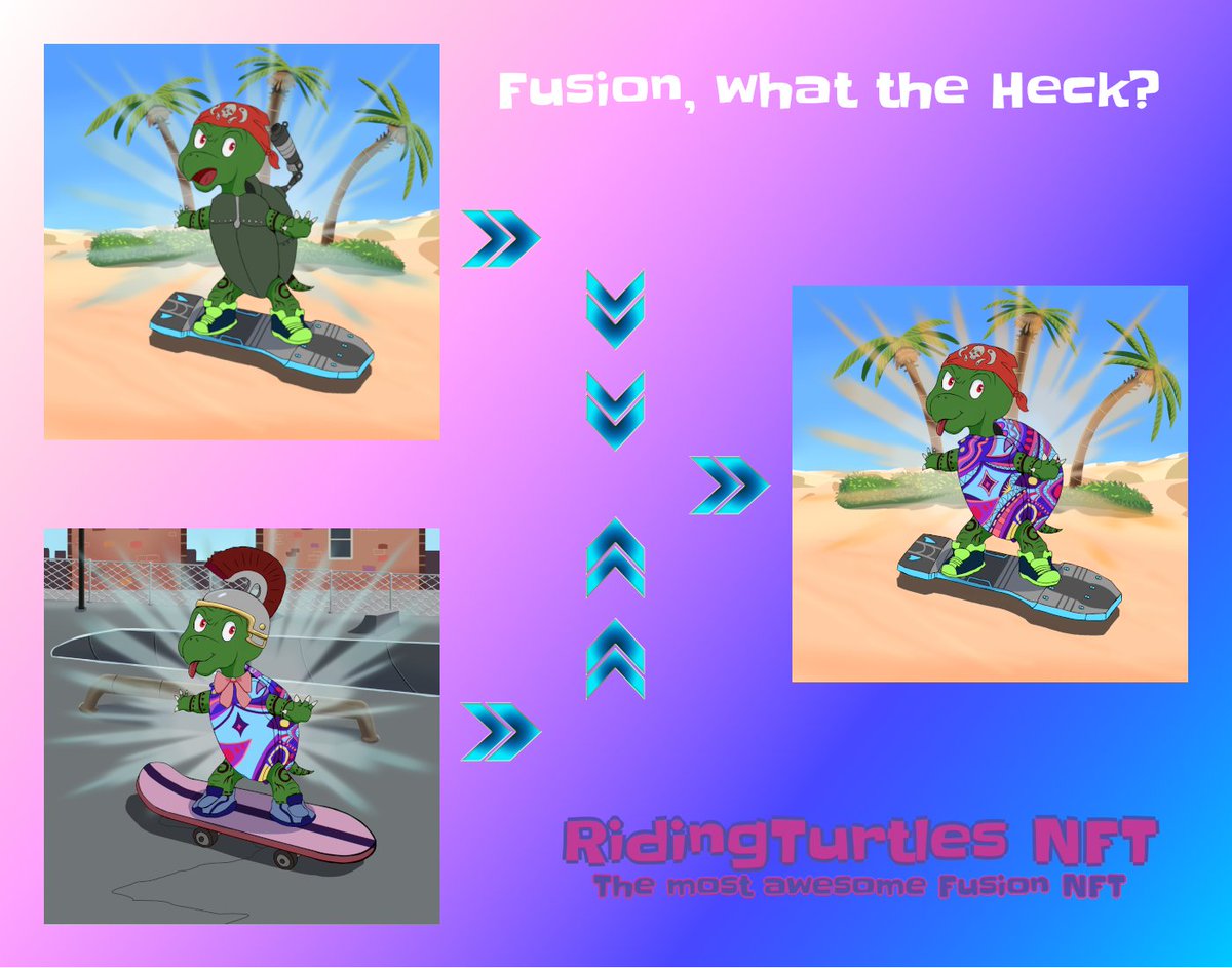 RidingTurtleNFT's tweet photo. gm from #RidingTurtles, the most awesome fusion #NFT in the universe! Fusion, what the heck? This is the coolest feature by far. E.g. fuse two level 1 #RidingTurtles to one level 2 #RidingTurtle and be more special than the others! #NFT https://t.co/8pkEAXzm9Z
