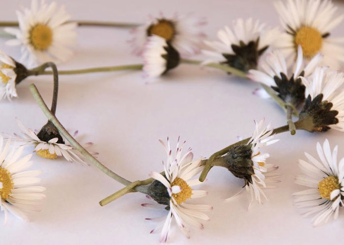 [Drags @CraftyImmortal and @ConceitedFray into bed with me.]