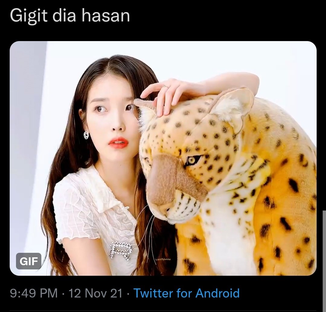 gif (ू•ᴗ•ू ) (@hummingdundun) | Twitter