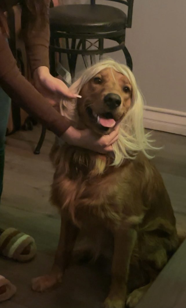 ambe7r's tweet photo. . @Sia is that you?! https://t.co/2bpZvkoHLu