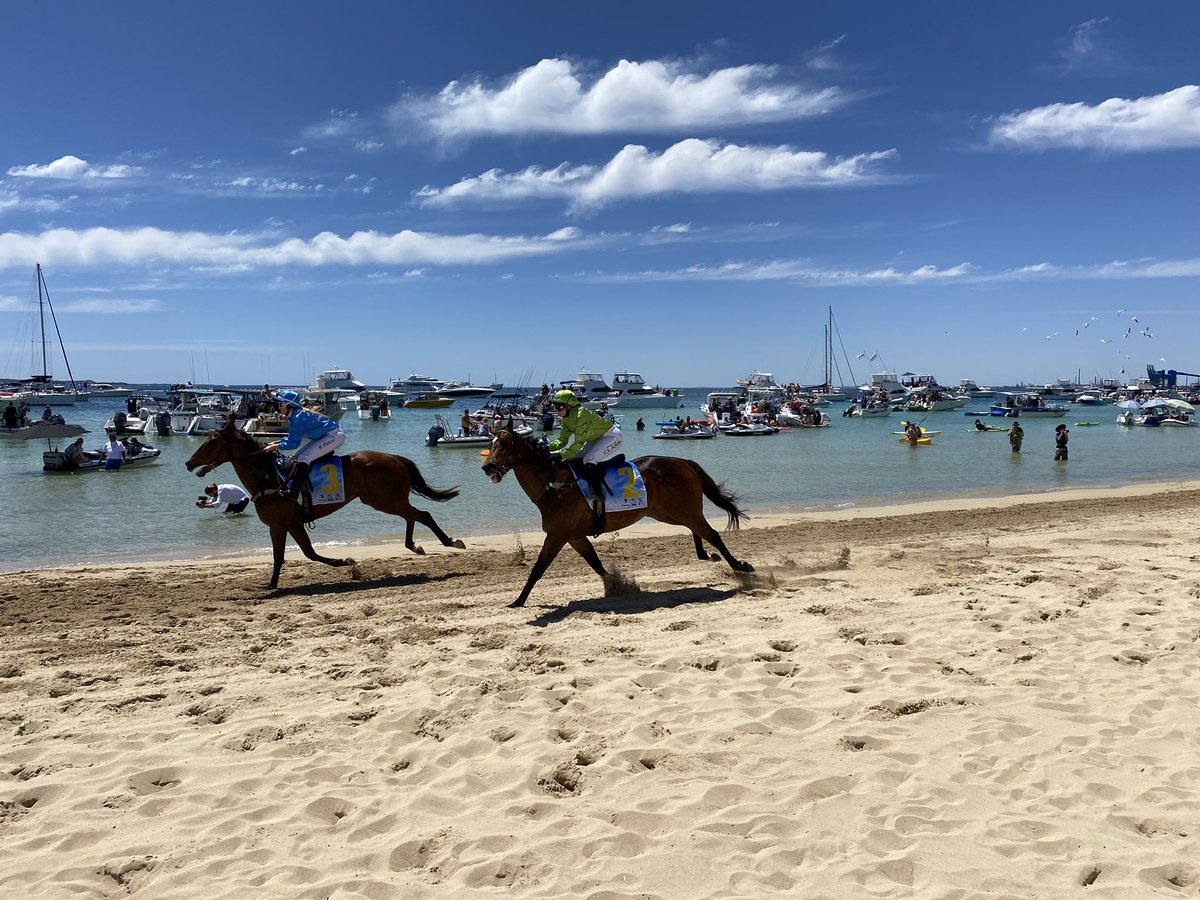 ReeceWhitby's tweet photo. What a magnificent setting and backdrop to a day at the races as thousands of families are introduced to the thrill of thoroughbred racing at the #RockinghamBeachCup πββοΈππ https://t.co/ogfZrs8nlq