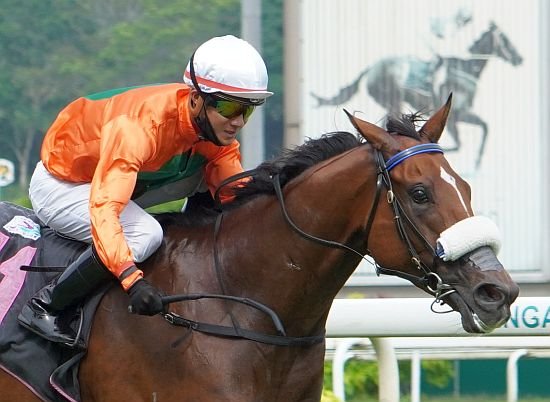 NJC_Commentator's tweet photo. ๐๐๐๐
๐๐๐๐๐๐๐๐๐๐๐๐
The form figures of Kharisma this year for @copperbelt_stc
@SGTurfClub ๐ธ๐ฌ
A horse who deserves all the recognition he gets!
Well done to his groom Ragu who is instrumental in the success story! ๐
Great ride today @MarcoLerner
#Kharisma https://t.co/pyye324siu