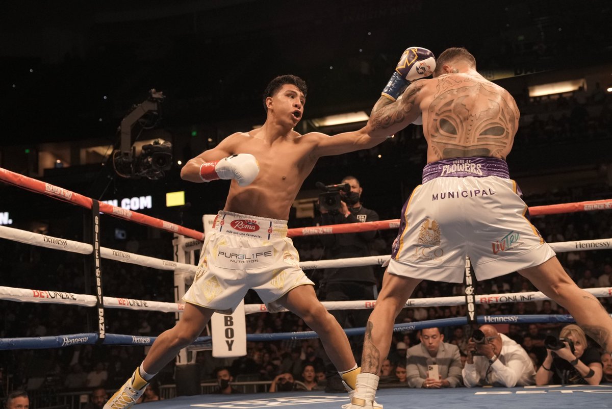 GoldenBoyBoxing's tweet photo. They gave us a WAR!!! 🇲🇽🔥🇵🇷

#MunguiaRosado @DAZNBoxing https://t.co/zeos2TI2Fy