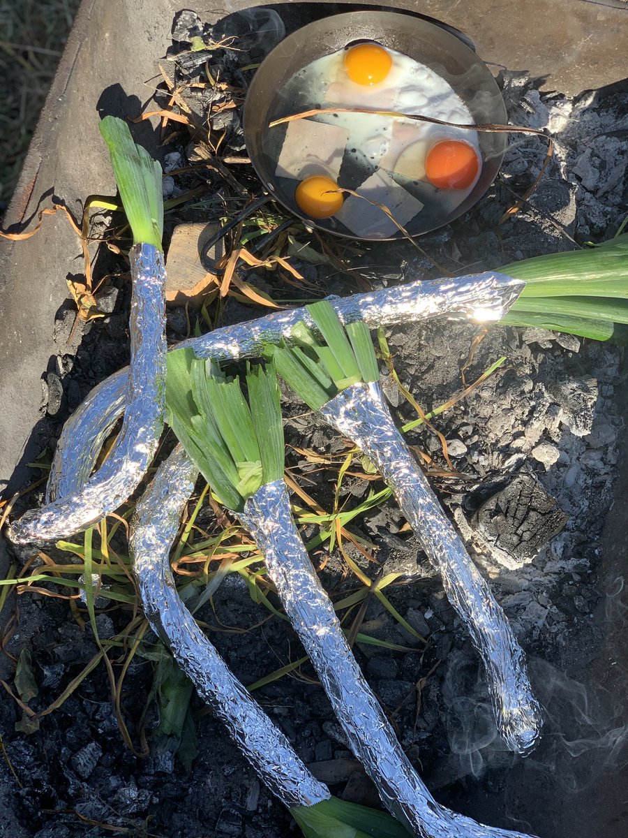 numa_MFD21's tweet photo. 昼は焼き芋🍠

ジャガイモに烏骨鶏の卵、ネギ、しいたけも焼いてみました✨ https://t.co/Ha7XMoI8h3