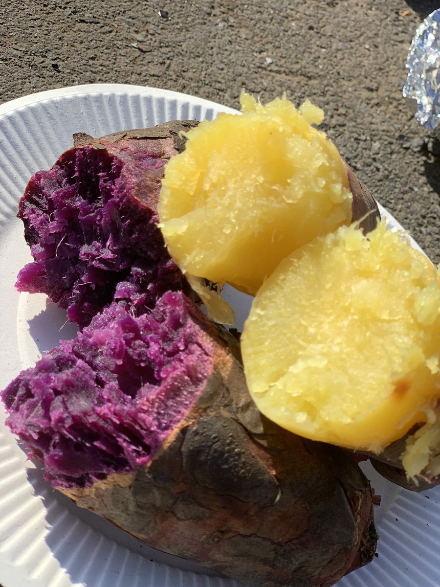 numa_MFD21's tweet photo. 昼は焼き芋🍠

ジャガイモに烏骨鶏の卵、ネギ、しいたけも焼いてみました✨ https://t.co/Ha7XMoI8h3