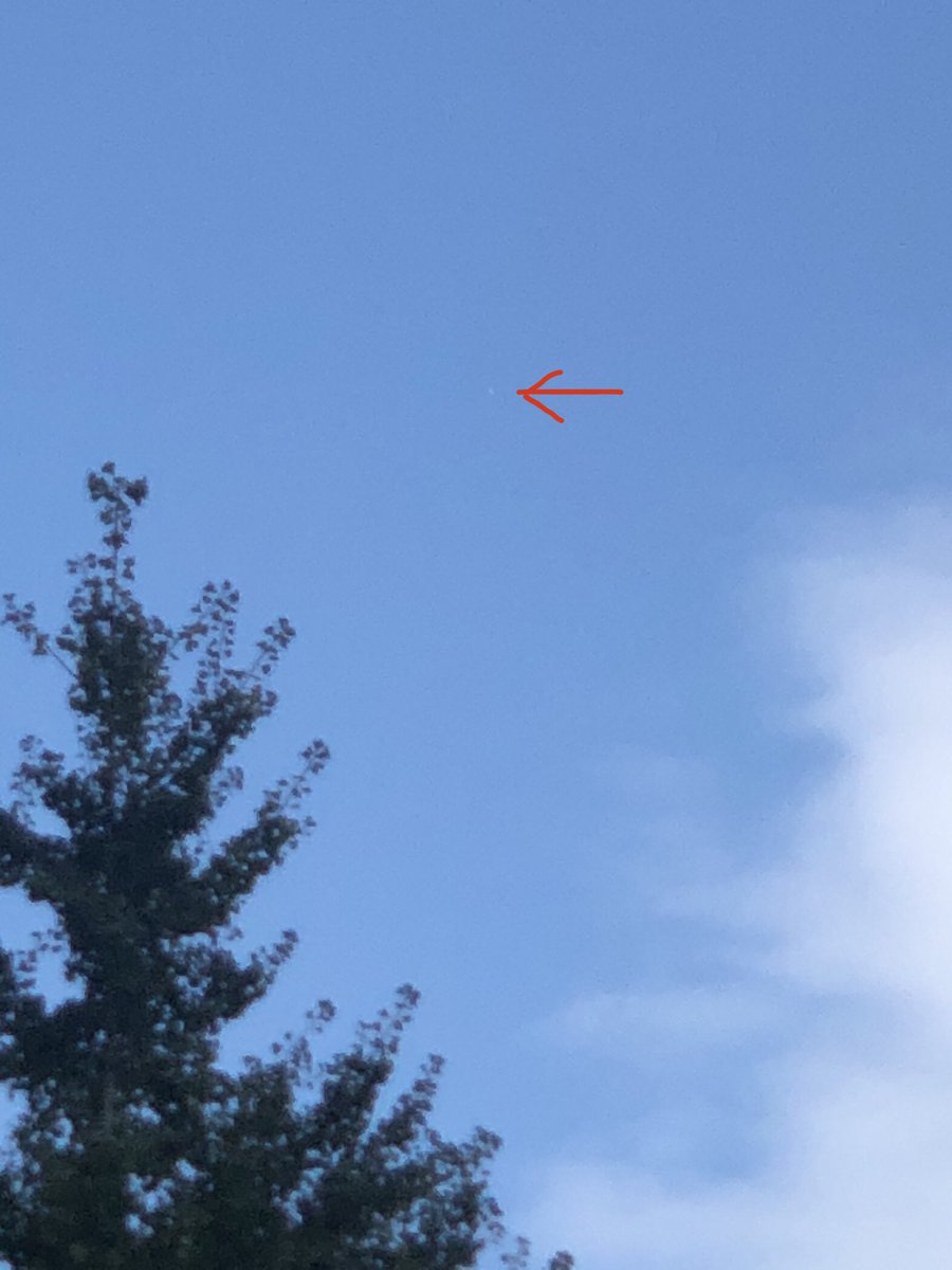michibo42's tweet photo. 銀座から日本橋方面の空に、白い飛行物体。同じの見た方いますか？2021/11/14 10:45。何か確認できないので、#未確認飛行物体 😅#UFO かなあ🛸 https://t.co/T6q57vvDa1