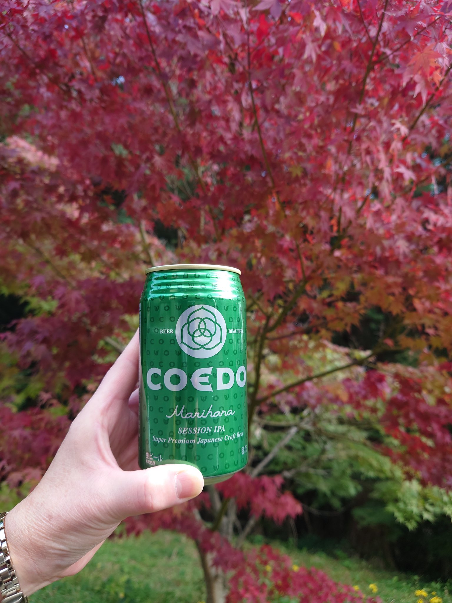 木の葉モール橋本 Twitter Search Twitter