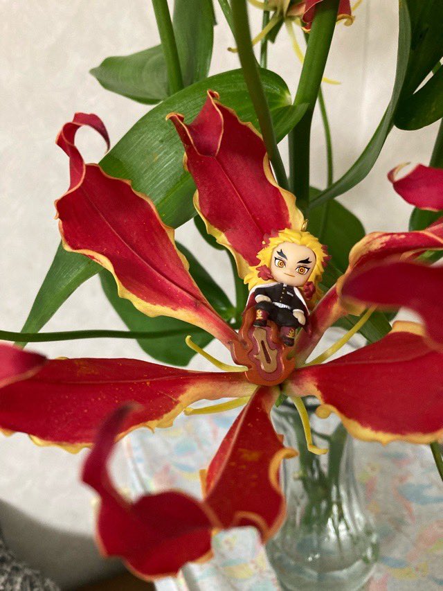 グロリオサ Twitter Search Twitter