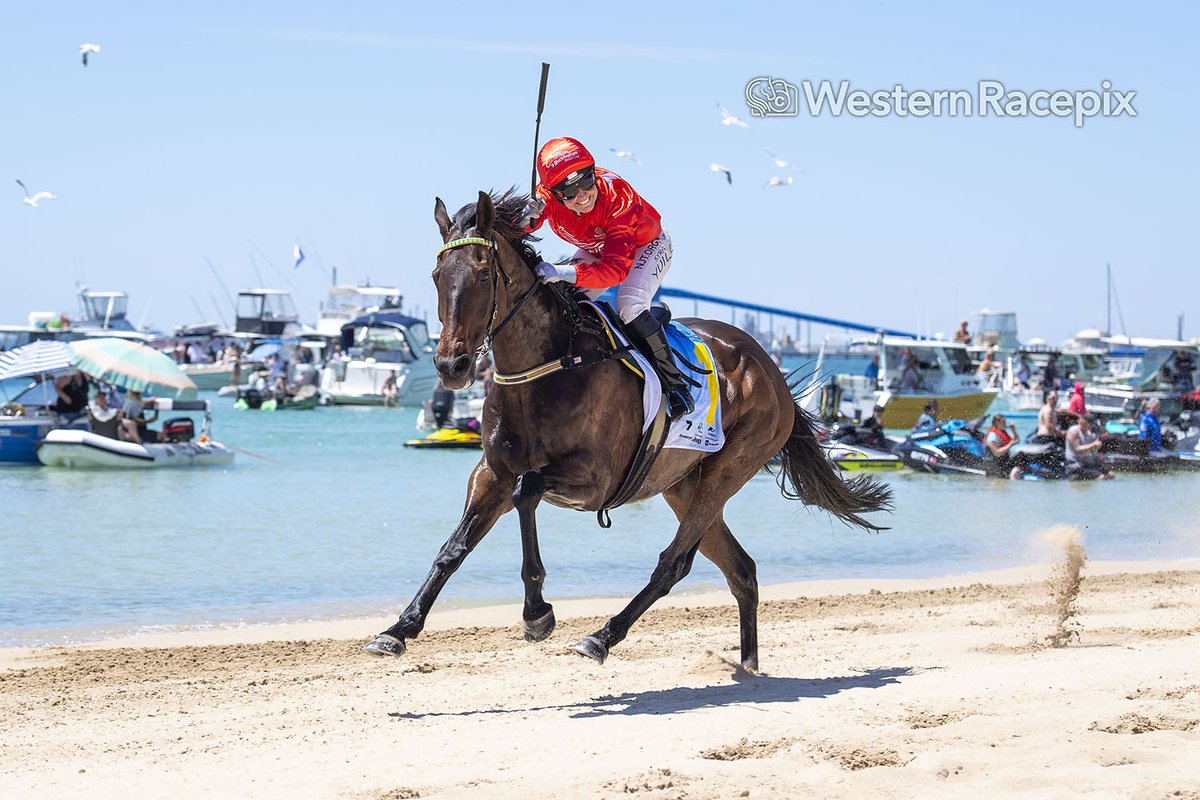 WesternRacepix's tweet photo. THE CAT RATCHER takes out the 2nd race at today's Channel 7 Rockingham Beach Cup! #WesternRacepix #RockinghamBeachCup
More πΈ https://t.co/XhRFkjHRjP https://t.co/FtJzNvtQxH