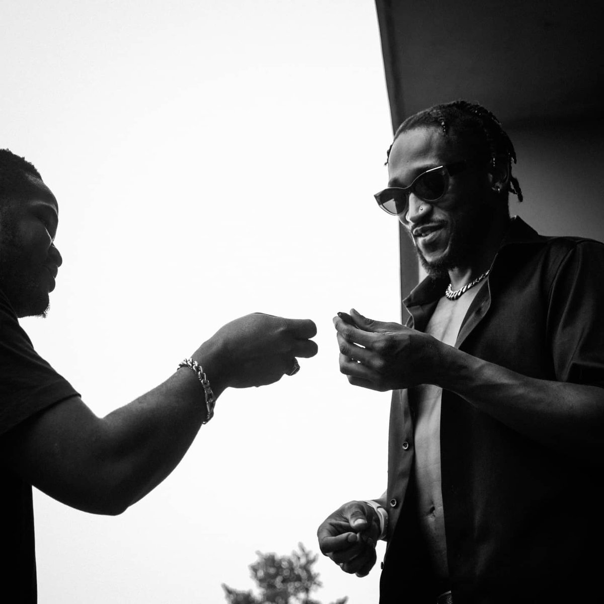 director dero tweet media