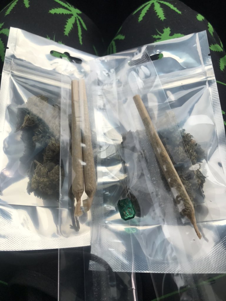 Nosipops's tweet photo. My CPT Care pack #ExodusCheese #BlueGelato thank you @TheBud_Father for the special delivery #Mmemberville #cannagrower #stonerfamily https://t.co/OCxmlHsCKl