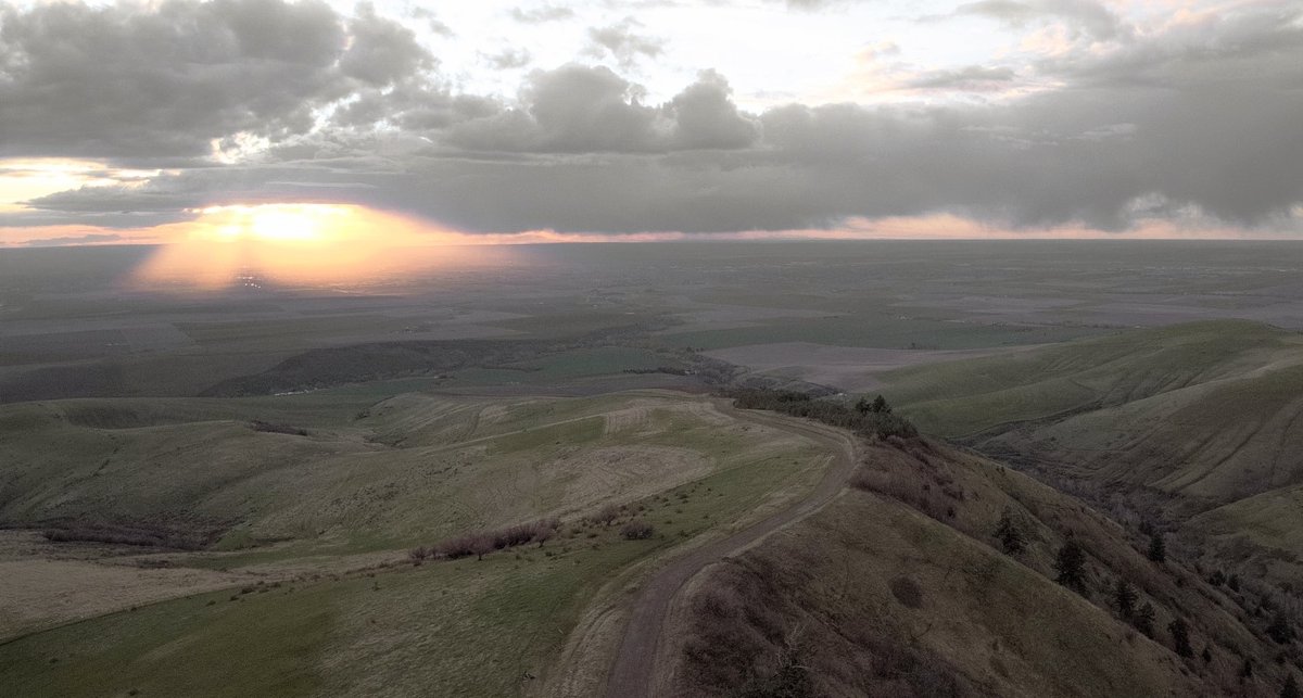 Friends! Our #equitycrowdfund closes November 18 at 9pm Pacific. Cash raised in this round is up over 10% in the past 24 hours.

Latest update w/ current thoughts on our use of funds: wefunder.com/updates/150382

#craftmalt #startup #equitycrowdfund #closingsoon #impactinvestment