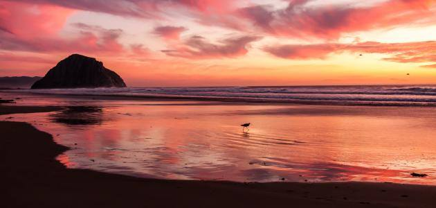 الأُفْقُ مَسْرَحُكَ الفَسيحُ فَحَلِّقِ.. وَاجْتَزْ تُخومَ المَنْطِقِ المُسَْغْلِقِ
وَدَعِ الثَّرى لِرُعاتِهِ وَغُواتِهِ.. لِبَني الثَّرى، رَعْيُ الذُّرى لَمْ يُخْلَقِ
facebook.com/mahmod.mari1/p…