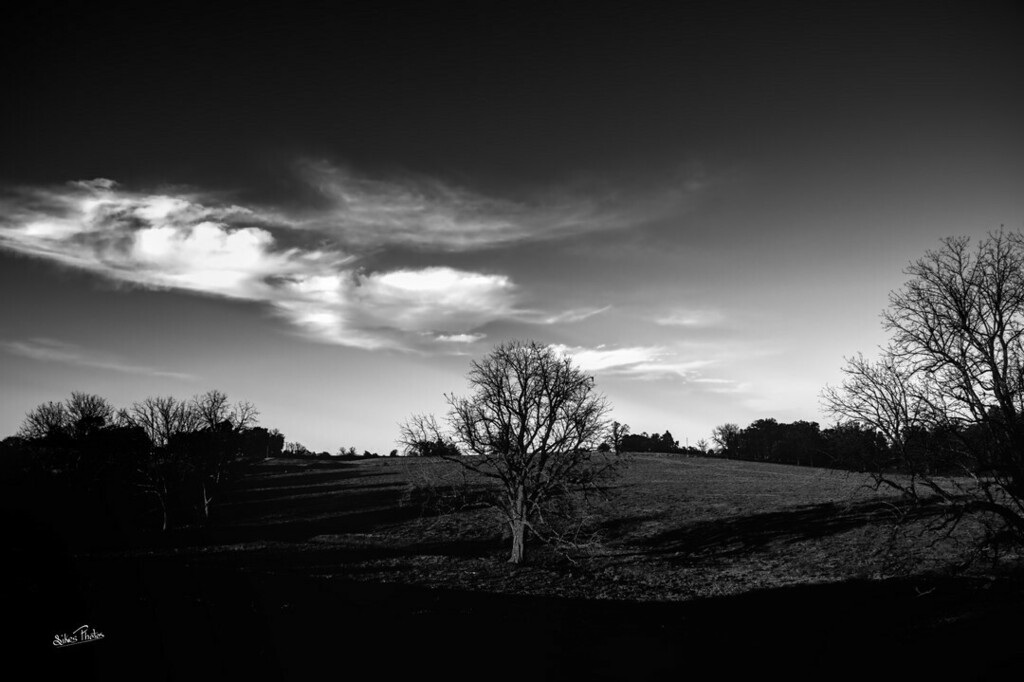 PhotosSikes's tweet photo. Trying to be a light in this world of darkness.
#bnwphotography #raw_bnw #cattlepasture #contrastphotography #raw_snap_moody1 https://t.co/Oxpa6R7Ef0 https://t.co/rmFA8t8eQL