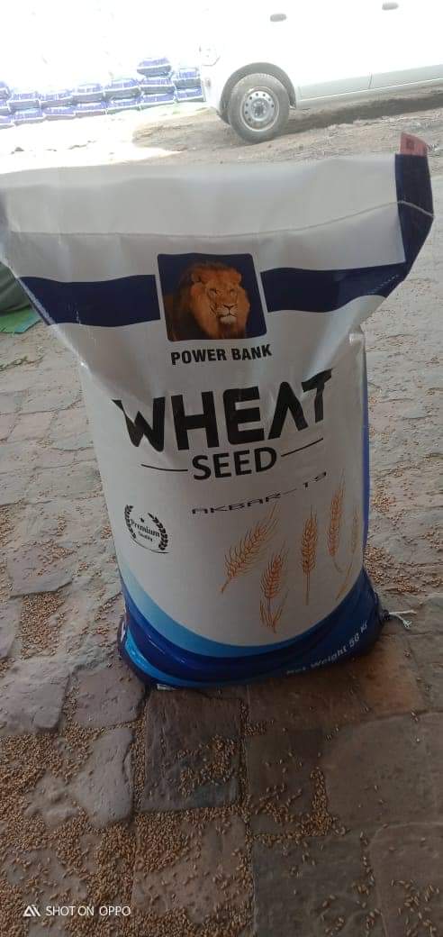 Muhamad__Mohsin's tweet photo. #wheatcampaign2021
#WheatCompaign 
محکمہ زراعت کے دفتر سے گریڈر لیں یا چھے نمبر جالی والے چھاننے سے بھی گریڈ کر سکتے ہیں۔
ورائٹی سلیکش میں اس سال اکبر غازی فخر بکھر روشن اور اجالا میں سے کوئی دو یا دو سے زیادہ کا انتخاب کریں کبھی بھی سارے رقبے پر ایک ہی ورائٹی کاشت نہ کریں۔ https://t.co/gbkXlmRNXw