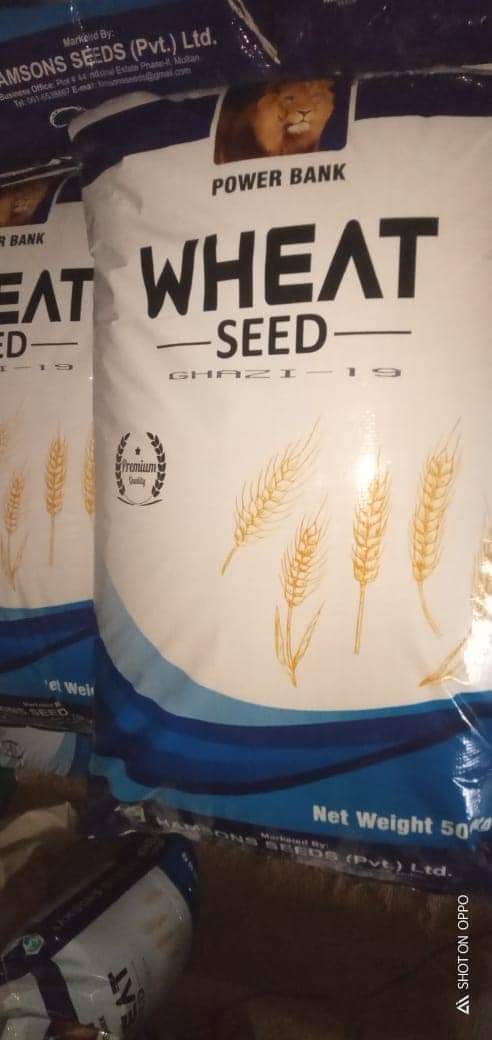Muhamad__Mohsin's tweet photo. #wheatcampaign2021
#WheatCompaign 
محکمہ زراعت کے دفتر سے گریڈر لیں یا چھے نمبر جالی والے چھاننے سے بھی گریڈ کر سکتے ہیں۔
ورائٹی سلیکش میں اس سال اکبر غازی فخر بکھر روشن اور اجالا میں سے کوئی دو یا دو سے زیادہ کا انتخاب کریں کبھی بھی سارے رقبے پر ایک ہی ورائٹی کاشت نہ کریں۔ https://t.co/gbkXlmRNXw