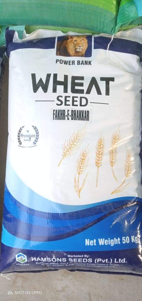 Muhamad__Mohsin's tweet photo. #wheatcampaign2021
#WheatCompaign 
محکمہ زراعت کے دفتر سے گریڈر لیں یا چھے نمبر جالی والے چھاننے سے بھی گریڈ کر سکتے ہیں۔
ورائٹی سلیکش میں اس سال اکبر غازی فخر بکھر روشن اور اجالا میں سے کوئی دو یا دو سے زیادہ کا انتخاب کریں کبھی بھی سارے رقبے پر ایک ہی ورائٹی کاشت نہ کریں۔ https://t.co/gbkXlmRNXw