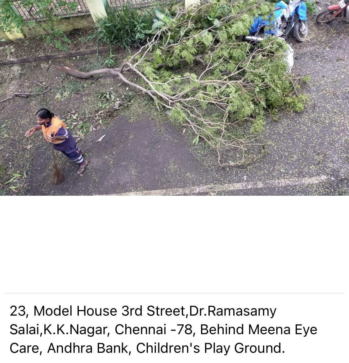 rpookat's tweet photo. Dear Chennai Corp, KK Nagar MLA Sir, Resident of Ramasamy Salai, 3rd Street  Model House, KK Nagar post Cyclone..a tree branch fallen on the road &amp; drainage water stagnant on the street make very difficult to commute. @PrabhakarRaja88 @GSBediIAS @chennaicorp @PTTVOnlineNews https://t.co/ZWZ8pUDmmW