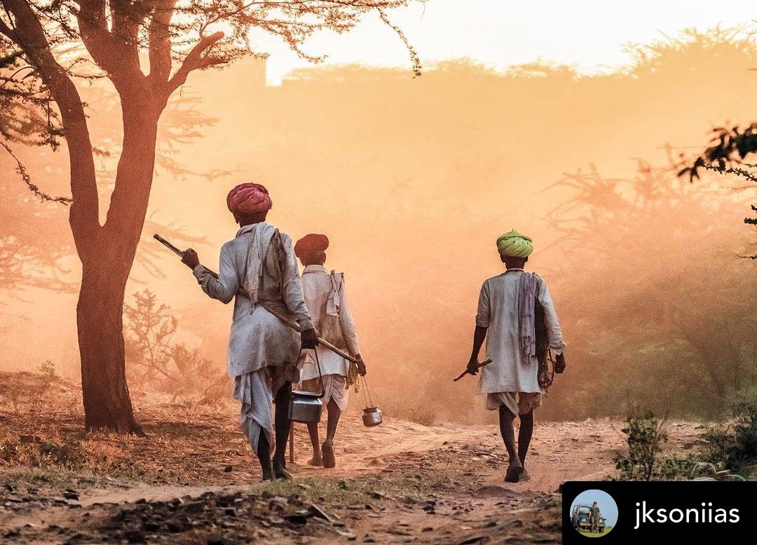Bringing you your daily dose of #Pushkarmela magic!

Shot by <a href="/Jksoniias/">Dr. Jitendra Kumar Soni</a>

Tag us <a href="/OhMyRajasthan/">Oh My Rajasthan!</a> / use #ohmyrajasthan to get featured!

DM to collaborate!

#pushkarfair #pushkarmela #camel #ohmyrajasthan #rajasthantourism #incredibleindia