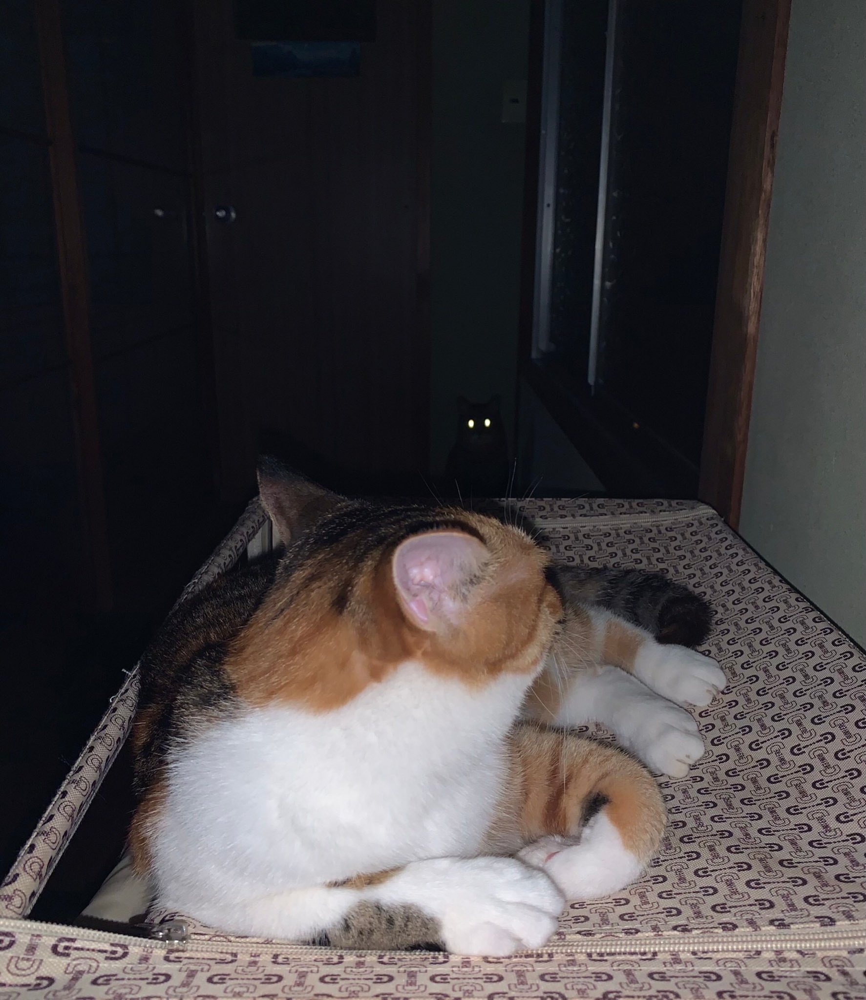 光る目 Twitter Search Twitter