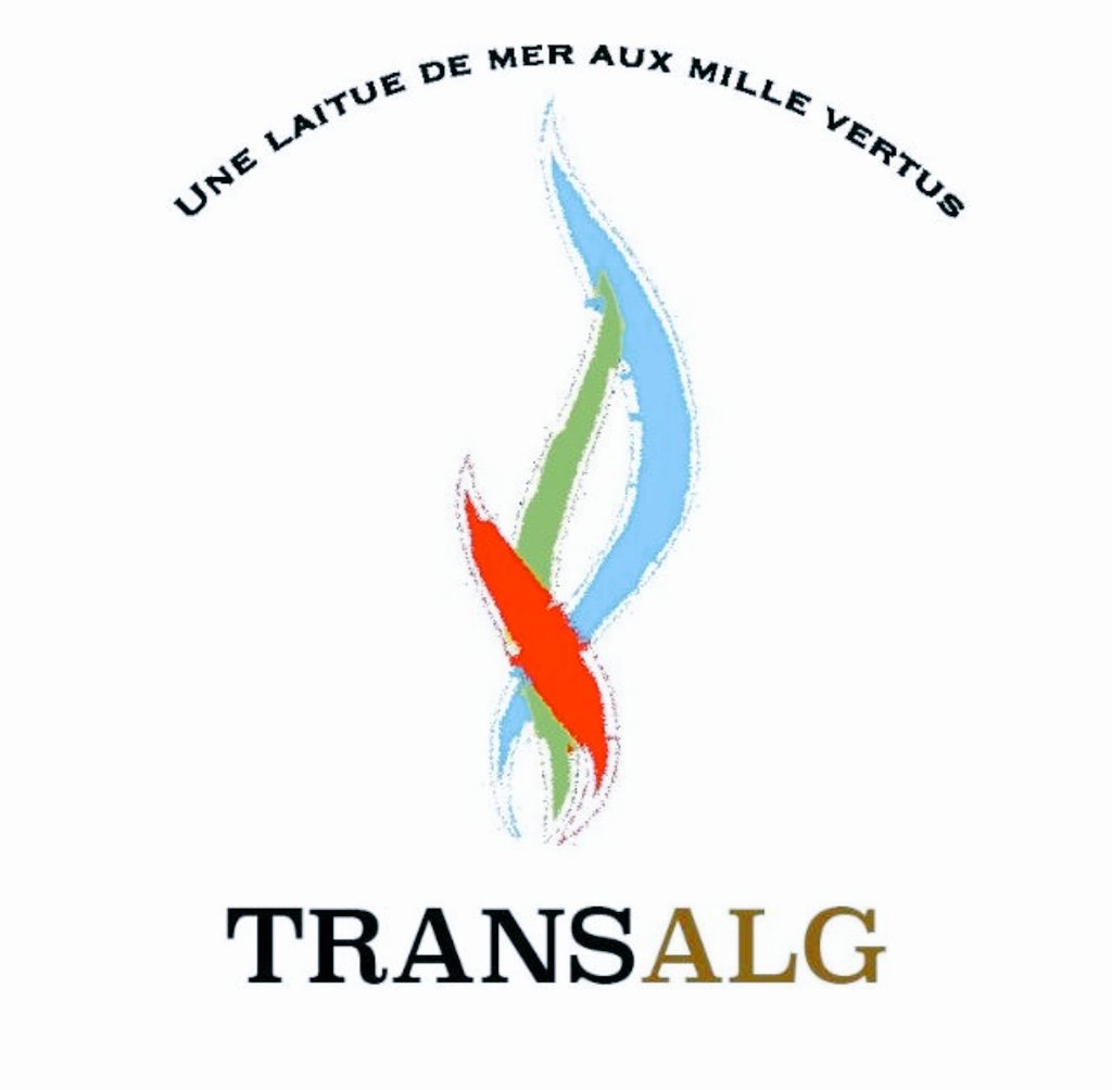 AbdoulkadirMoh2's tweet photo. Coming soon !!!!
#TransALG https://t.co/dtYj4AsmdF