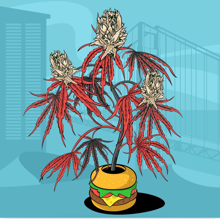 neliedechavez's tweet photo. @royalqueenseeds Growin my @CryptoWeedsNFT collection fo sho 🥳 #GetWeed https://t.co/zTloUVRn46
