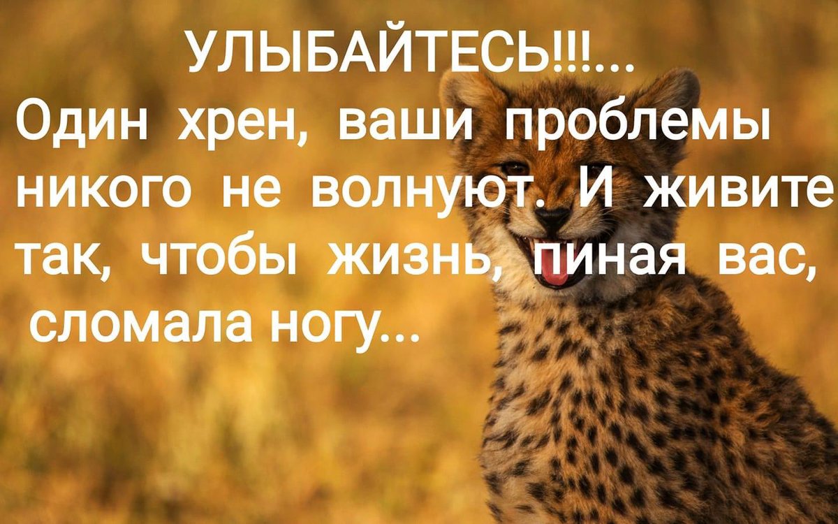 Belanova001's tweet photo. https://t.co/kixCTA7JeG