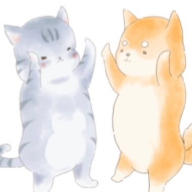 なあや Na Ya Shiba Twitter