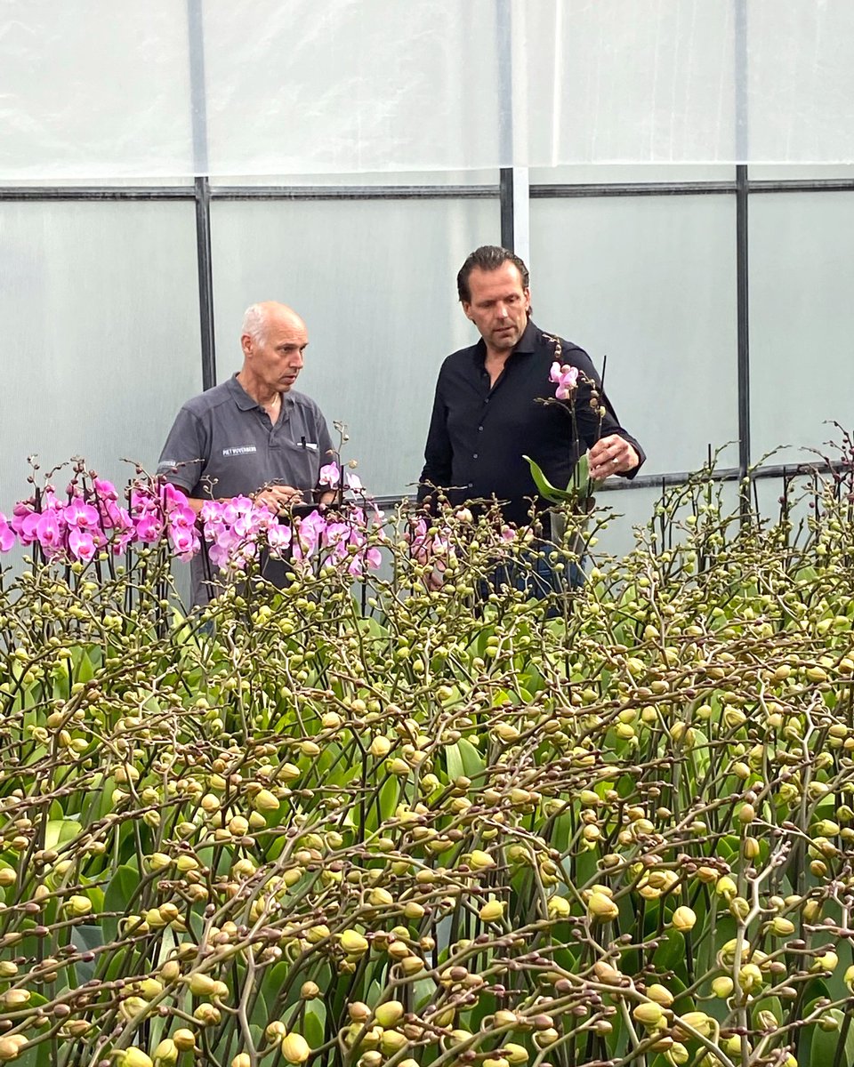 Did you know that we evaluate more than a hundred new varieties each year. We only select the best varieties to grow. In this way we guarantee optimum quality. ⭐⭐⭐⭐⭐