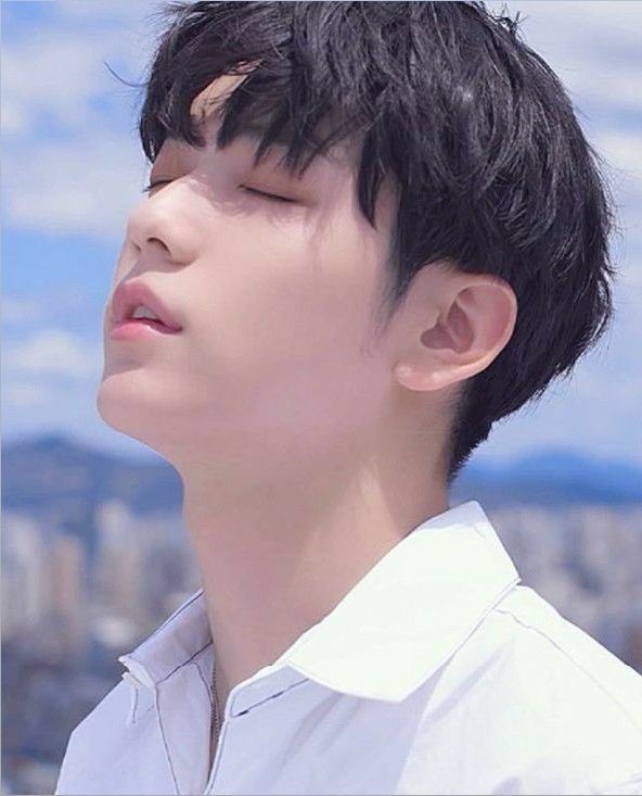 sbjsthinker's tweet photo. they have the best side profile https://t.co/248yeR38Y3