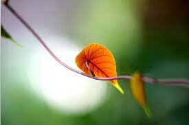FaizaSmita's tweet photo. People want to do business with you because you help them get what they want. They don’t do business with you to help you get what you want.–Don Crowther 
#love #followback #Twitterers #tweegram #photooftheday #smile
#like4like #look #igers #picoftheday #followme #bestoftheday https://t.co/GUsgeLsTJD