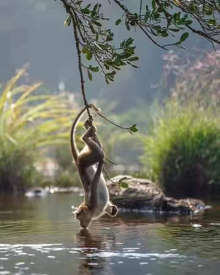 TLeoni311's tweet photo. Perfect shot https://t.co/gcnZL34s0P