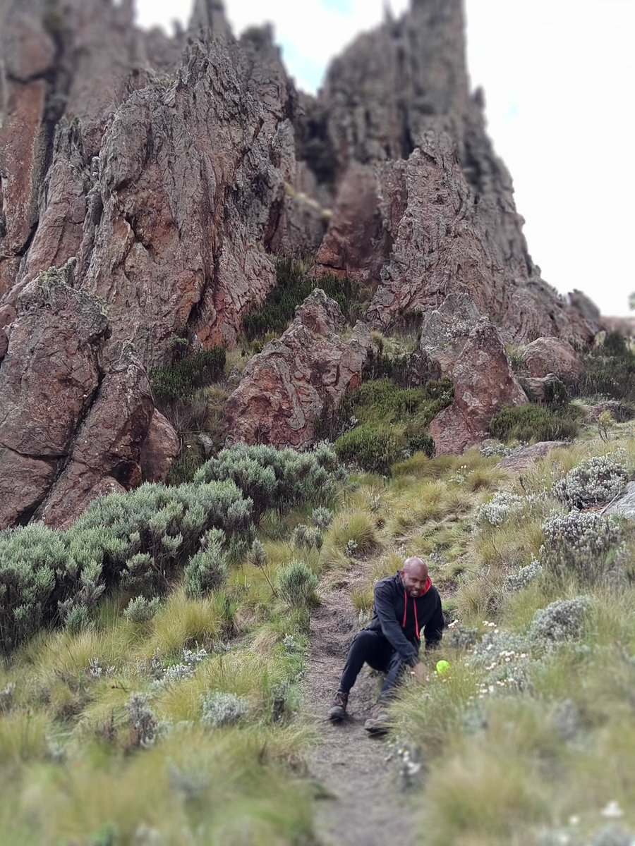 Climbing mount Satima with <a href="/DefendersKE/">@Defenders Coalition 🇰🇪</a> #Climbforjustice