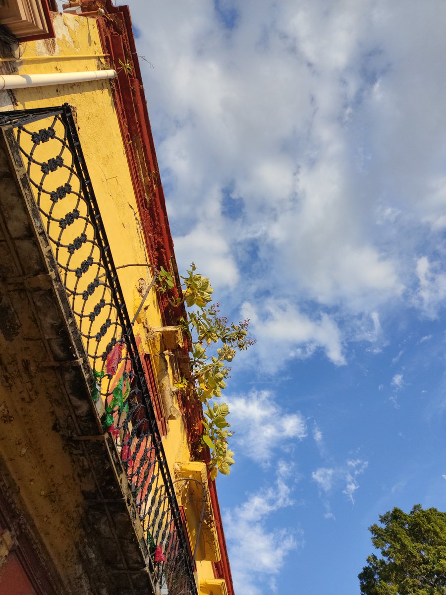 LaTomasa's tweet photo. Estoy avanzando, me supero cada día, me encanta admirar el paisaje cada que salgo a caminar.
Lo único triste en éste momento es saber que ya no soy lo que quiere. https://t.co/3rGQHkBYj0