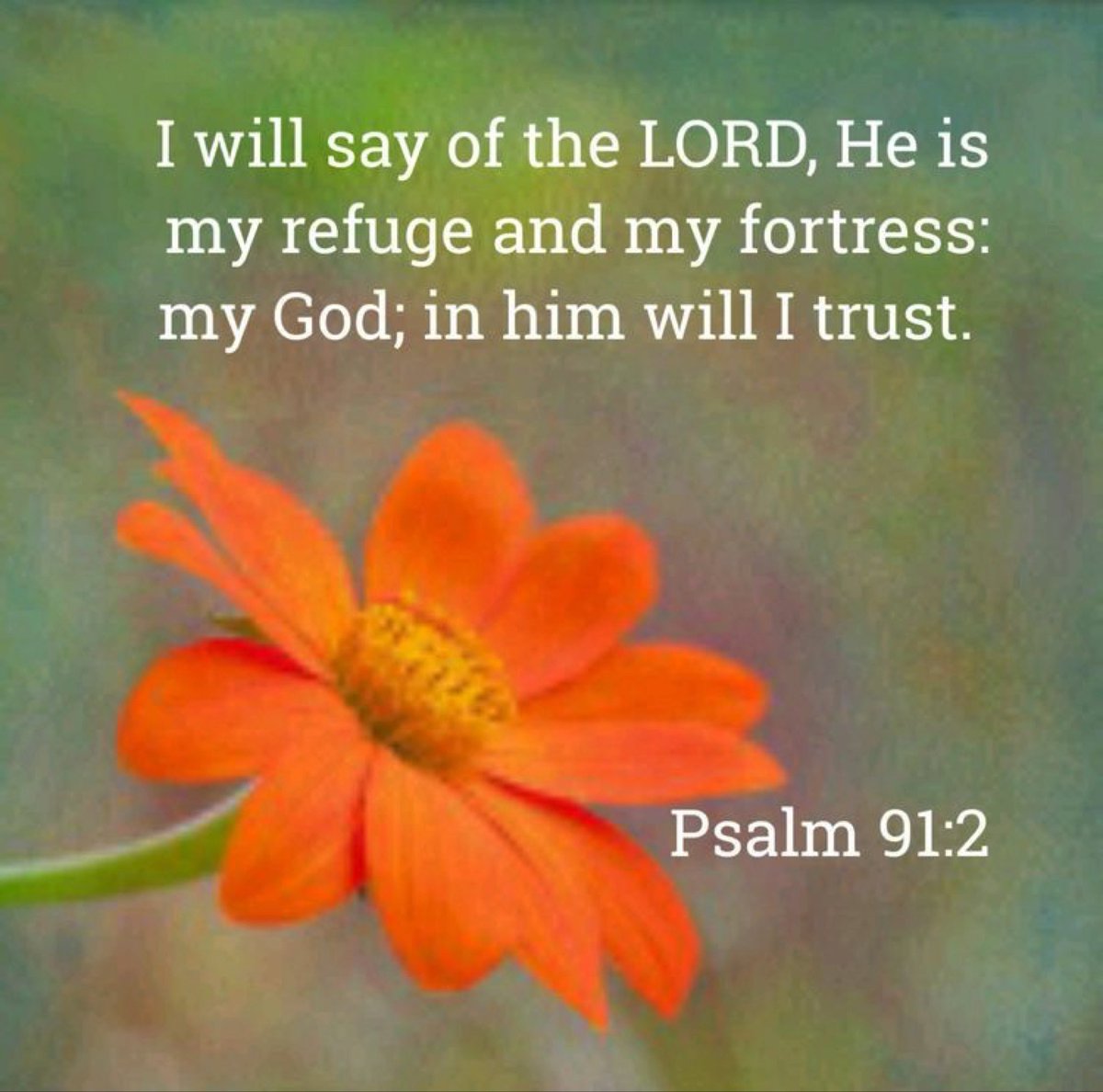 Angelmom337 tweet media