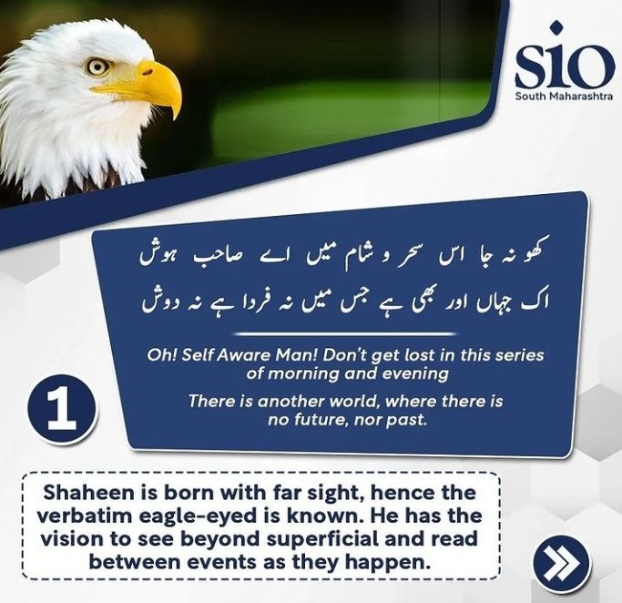 koushurkaan's tweet photo. #IqbalDay2021 #insiders #ranboospace #AllTooWellTheShortFilm #F1Sprint #FreePRRD #maskedsinger #Crypto #ForeverWithPeniel #FreeBritney #UrduPoetry #UrduNews #Urdu #urduday #Kashmiris #kashmiri_walnuts #pakvsindia https://t.co/5NNcjGUfYd