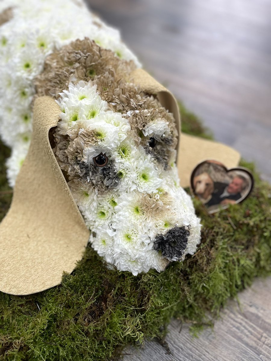 Basset Hound Funeral Tribute I made as close to the photo as I could