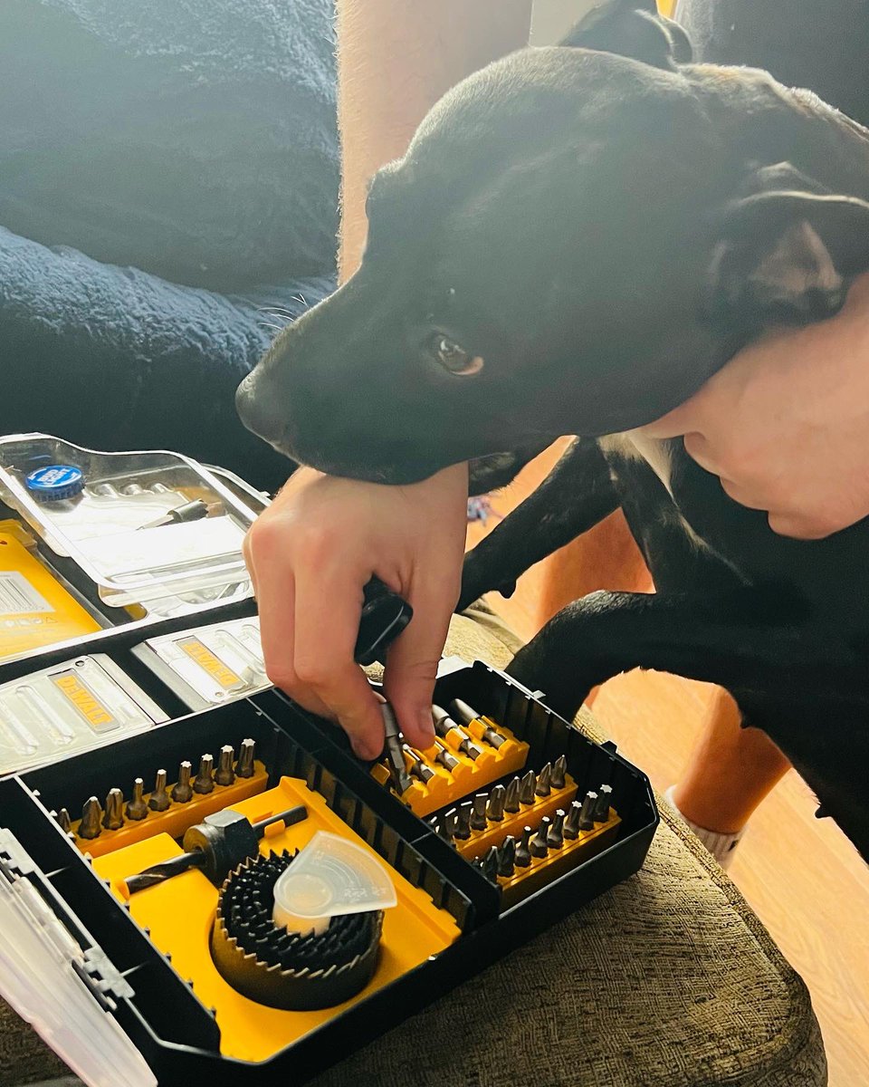 DollyStaffy's tweet photo. Helping dad doing diys https://t.co/3xDD4RAdgA