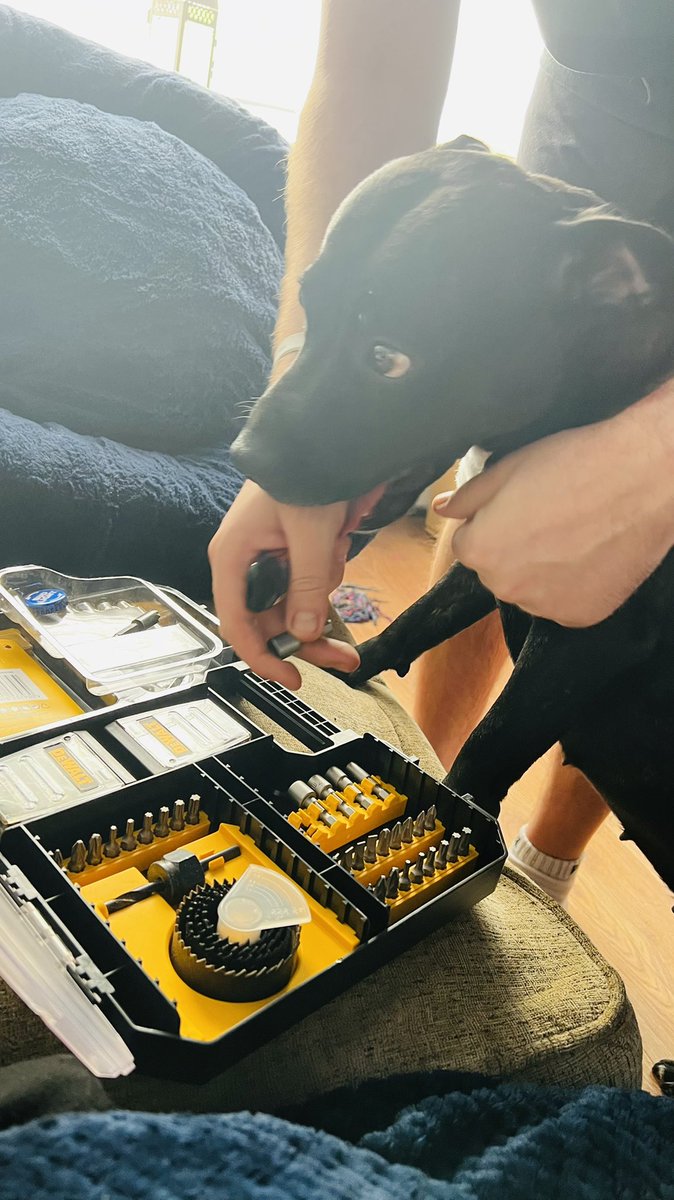 DollyStaffy's tweet photo. Helping dad doing diys https://t.co/3xDD4RAdgA